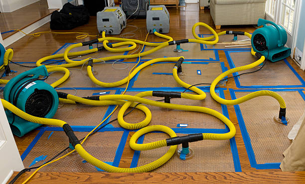 Professional Flood Damage Restoration technician working in Glen Easton, WV