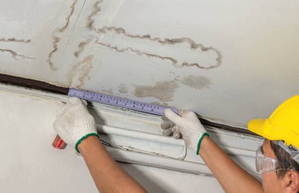 Affordable Water Damage Repair solutions in Glen Easton, WV